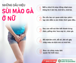 Mụn sùi âm đạo ở phái nữ và những vấn đề chị em cần biết