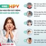 Tất tần tật về virus HPV gây sùi mào gà từ A-Z